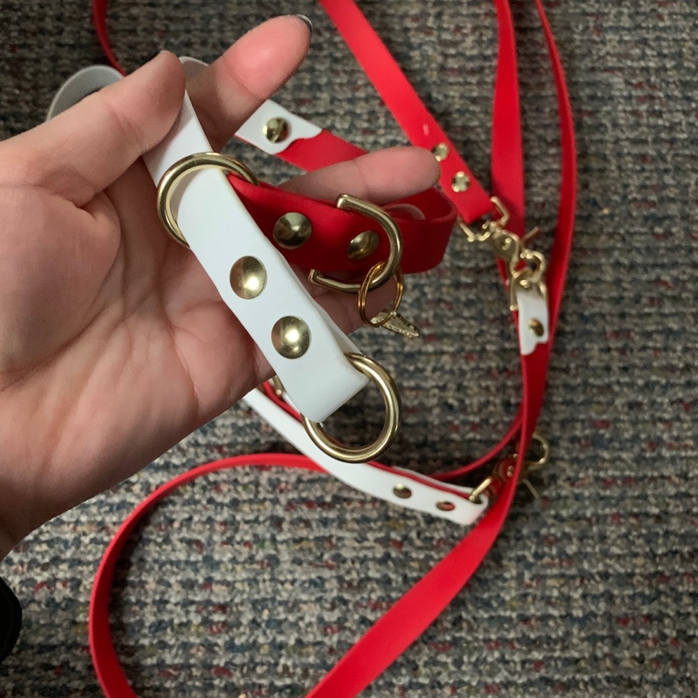 slip collar and hands free wearable leash set